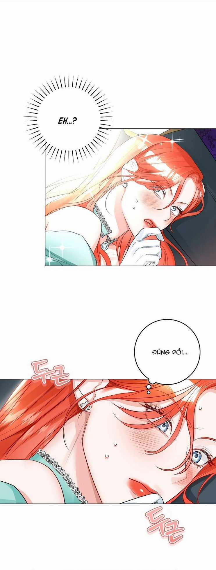 Cuộc Hôn Nhân Xa Hoa Của Đại Công Tước Là Giả Chapter 27 trang 33