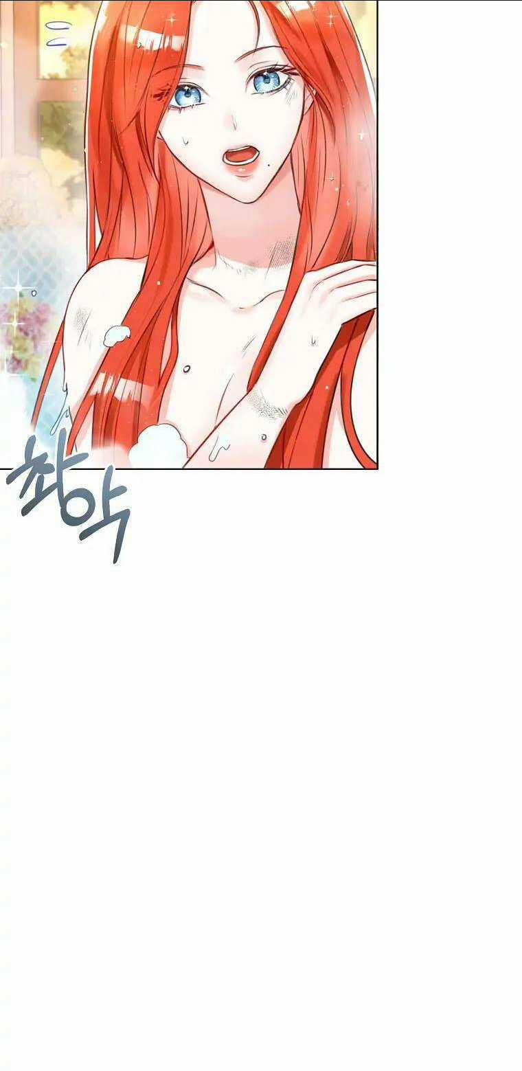 Cuộc Hôn Nhân Xa Hoa Của Đại Công Tước Là Giả Chapter 3 trang 13