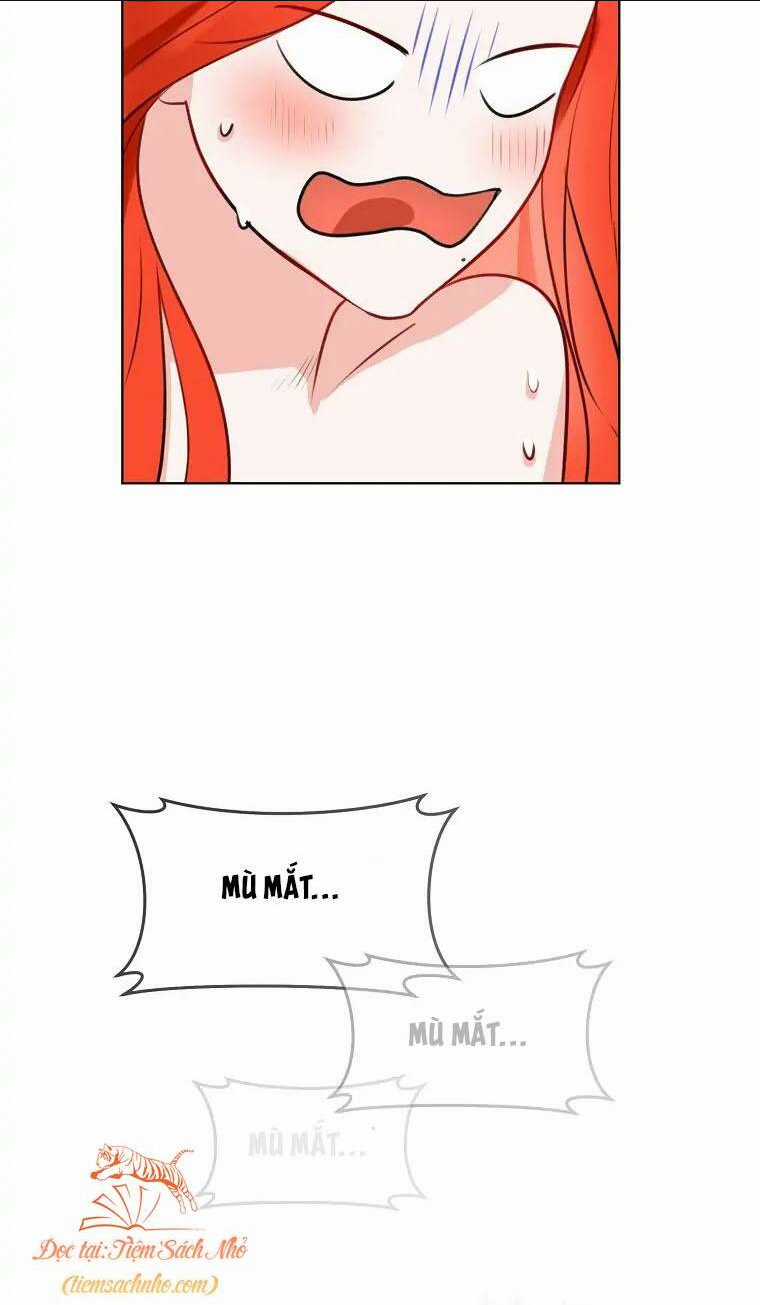 Cuộc Hôn Nhân Xa Hoa Của Đại Công Tước Là Giả Chapter 3 trang 18