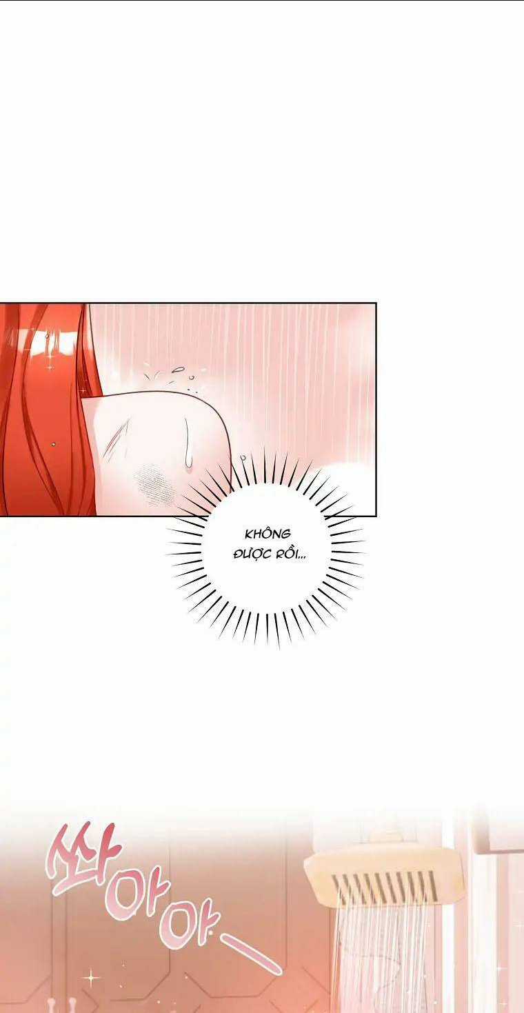 Cuộc Hôn Nhân Xa Hoa Của Đại Công Tước Là Giả Chapter 3 trang 24