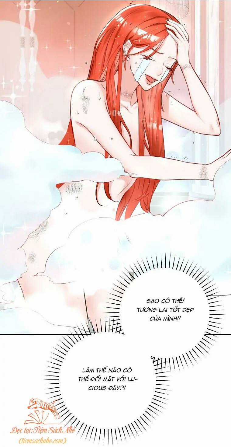 Cuộc Hôn Nhân Xa Hoa Của Đại Công Tước Là Giả Chapter 3 trang 25