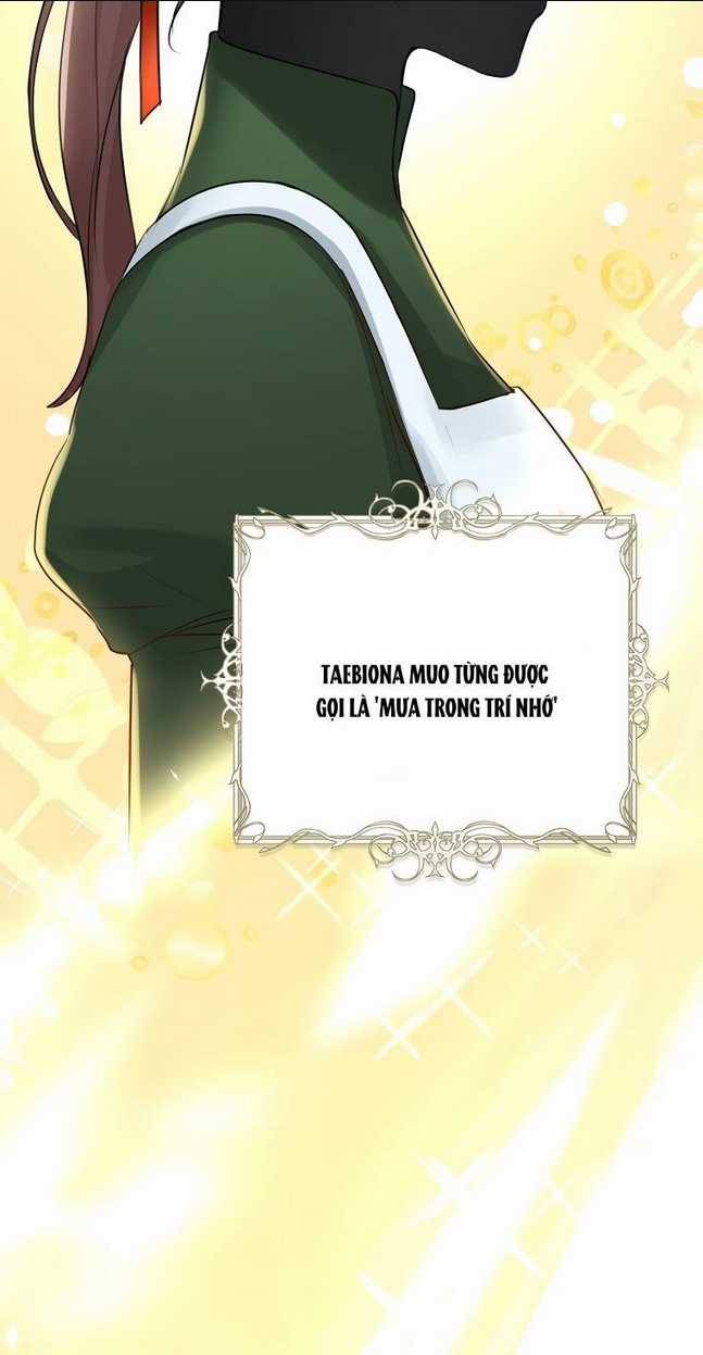 Cuộc Hôn Nhân Xa Hoa Của Đại Công Tước Là Giả Chapter 31 trang 33