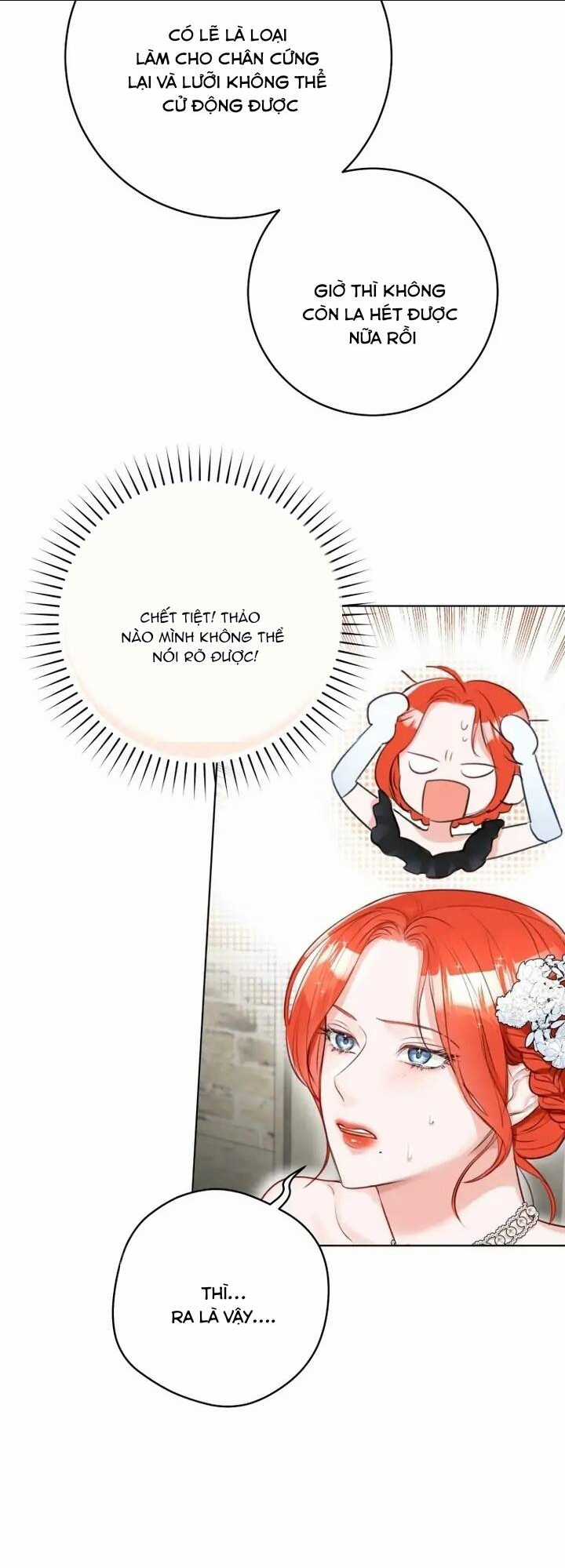 Cuộc Hôn Nhân Xa Hoa Của Đại Công Tước Là Giả Chapter 33 trang 21