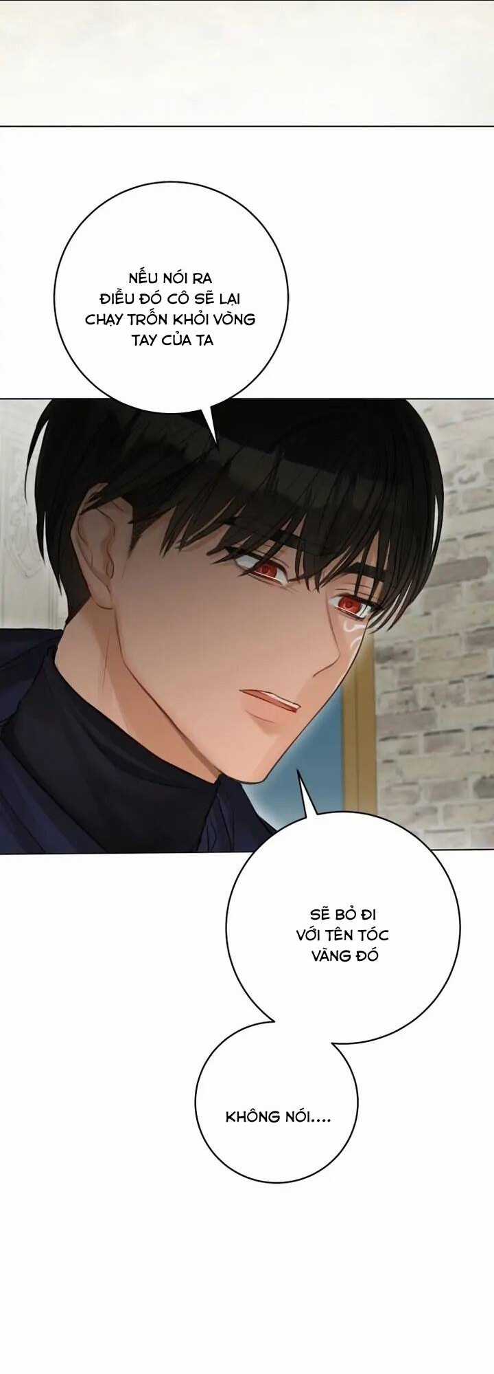 Cuộc Hôn Nhân Xa Hoa Của Đại Công Tước Là Giả Chapter 33 trang 24