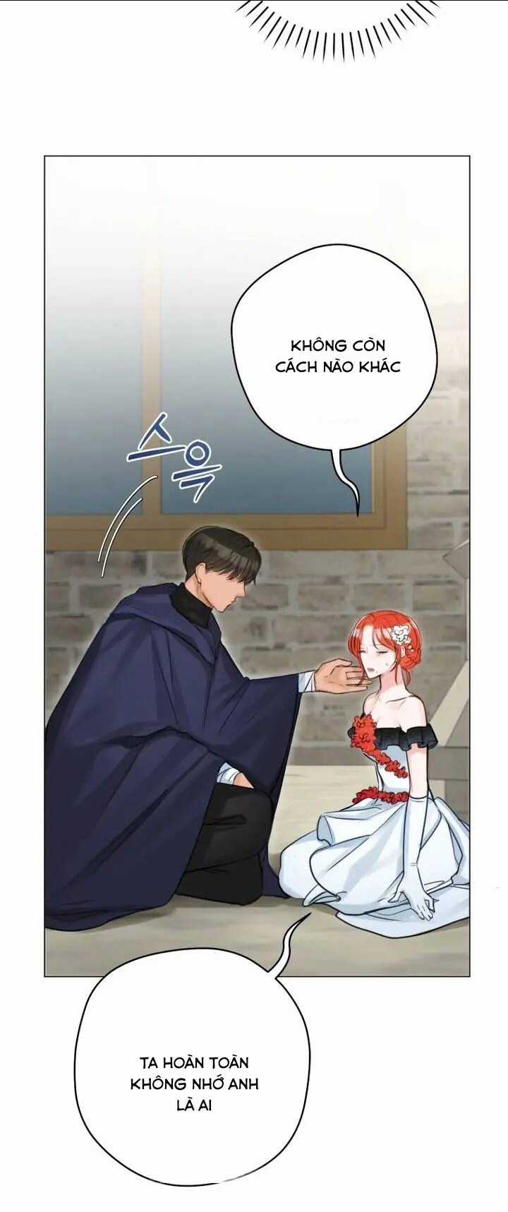 Cuộc Hôn Nhân Xa Hoa Của Đại Công Tước Là Giả Chapter 33 trang 26