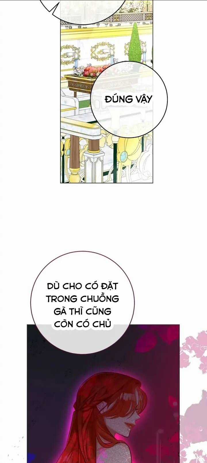 Cuộc Hôn Nhân Xa Hoa Của Đại Công Tước Là Giả Chapter 35 trang 15