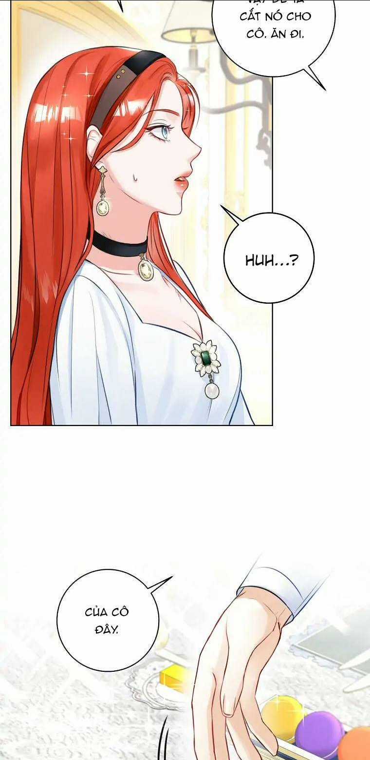 Cuộc Hôn Nhân Xa Hoa Của Đại Công Tước Là Giả Chapter 4 trang 21