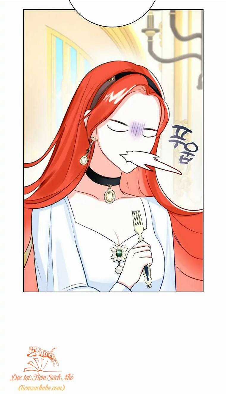 Cuộc Hôn Nhân Xa Hoa Của Đại Công Tước Là Giả Chapter 4 trang 24