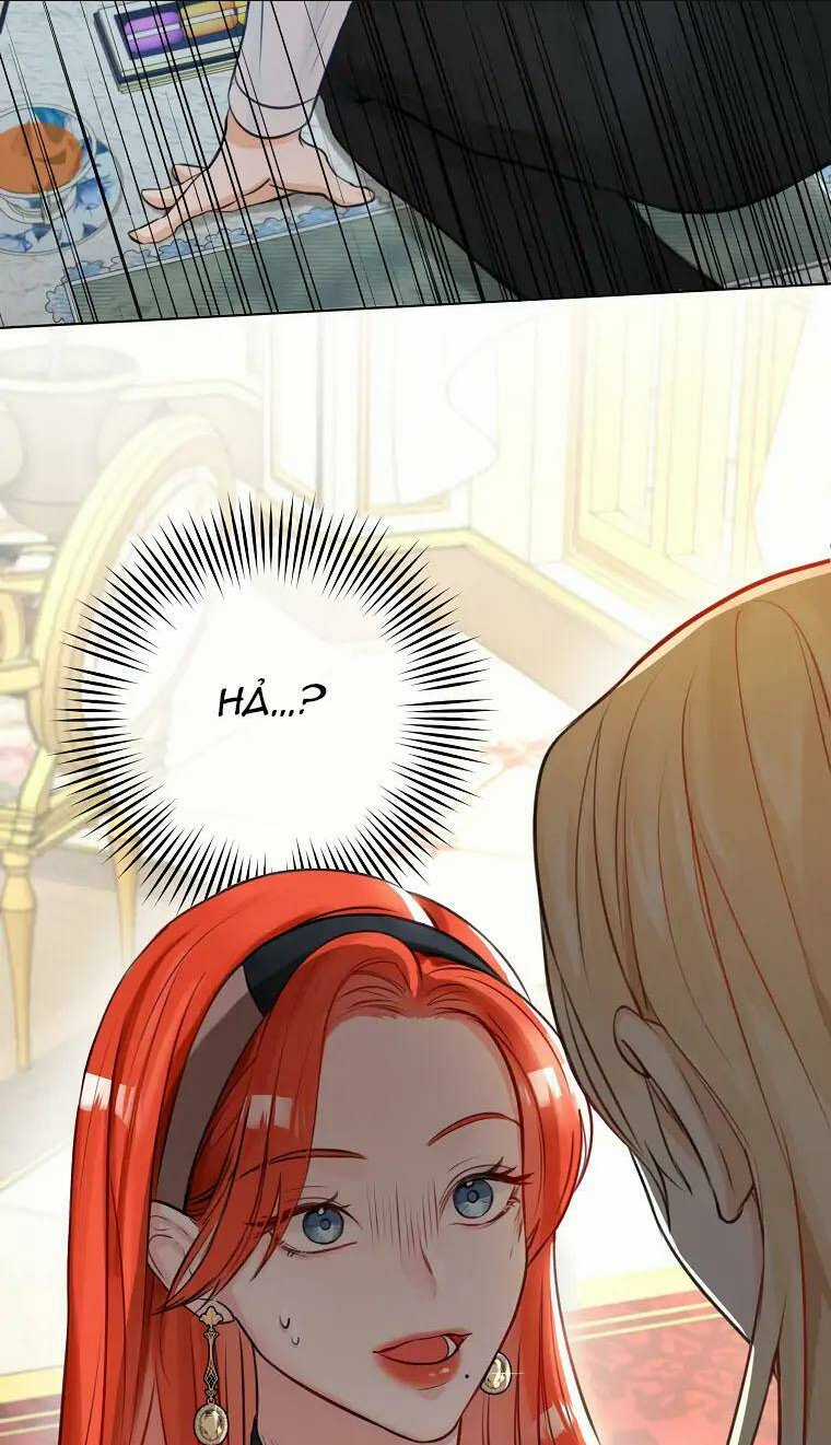 Cuộc Hôn Nhân Xa Hoa Của Đại Công Tước Là Giả Chapter 5 trang 25