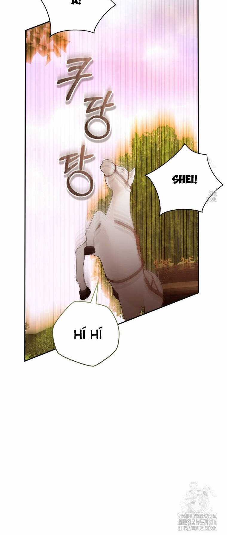 Cuộc Hôn Nhân Xa Hoa Của Đại Công Tước Là Giả Chapter 52 trang 13