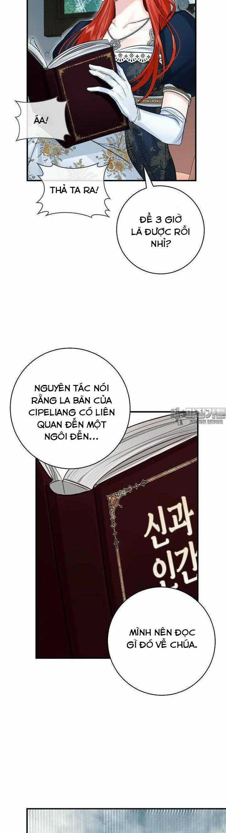 Cuộc Hôn Nhân Xa Hoa Của Đại Công Tước Là Giả Chapter 63 trang 29