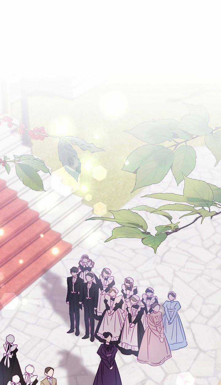 Cuộc Ly Hôn Với Chồng Tôi Đã Thất Bại Chapter 13 trang 1