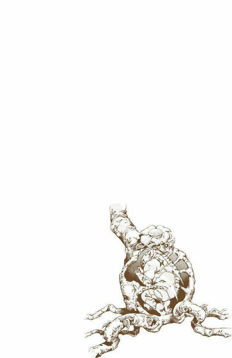 Cuộc Phiêu Lưu Bí Ẩn Chapter 671 trang 17