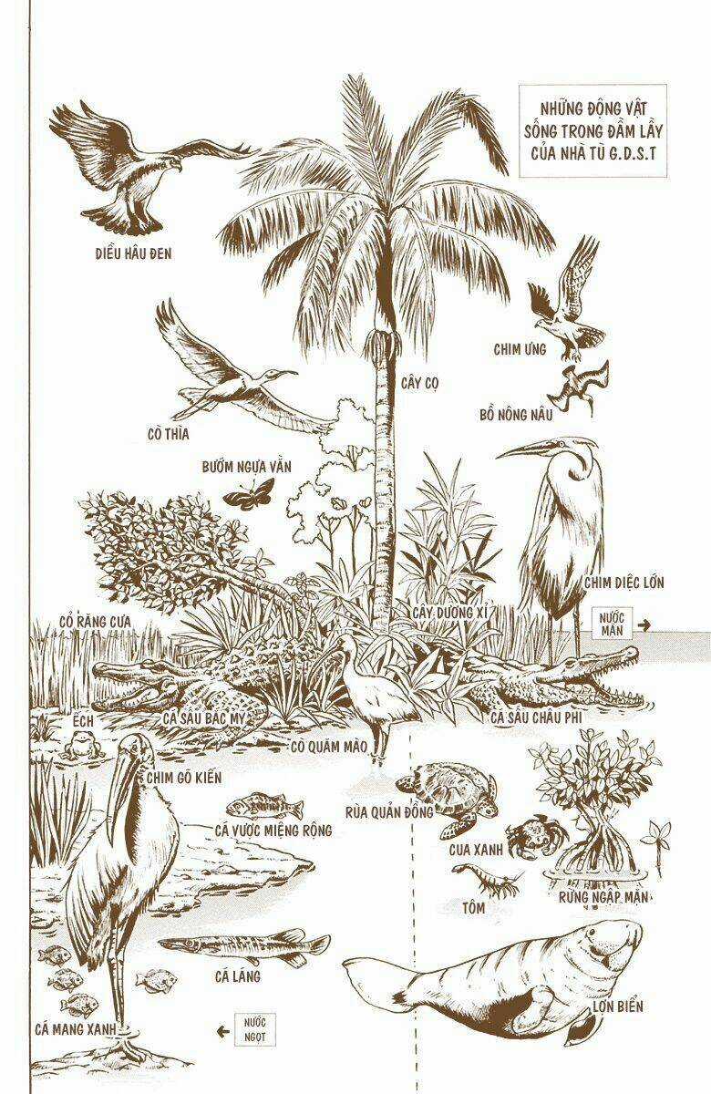 Cuộc Phiêu Lưu Bí Ẩn Chapter 678 trang 20