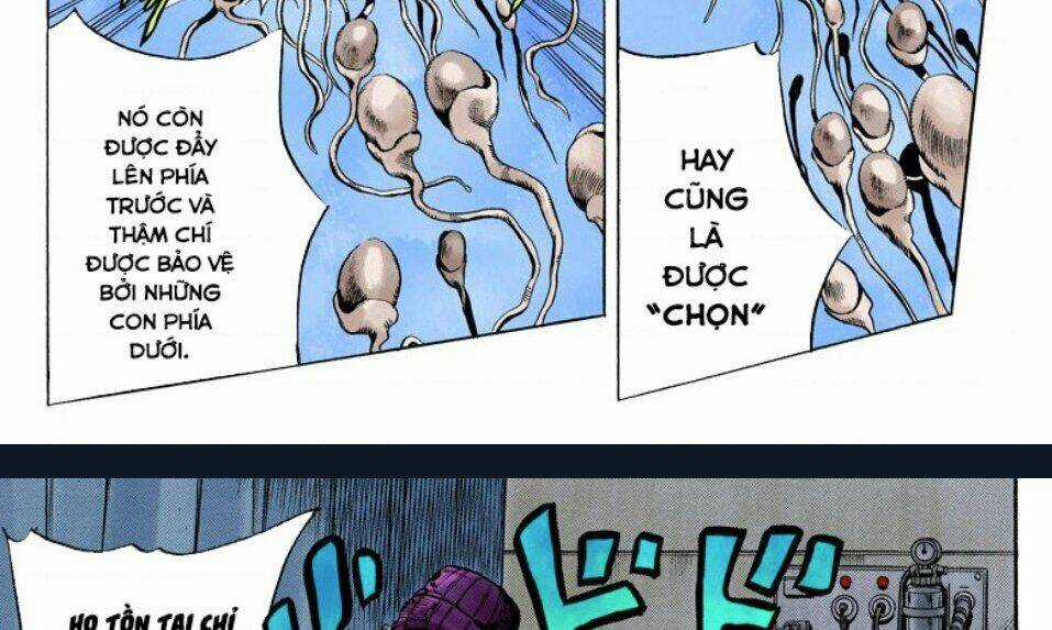 Cuộc Phiêu Lưu Bí Ẩn Chapter 705 trang 40