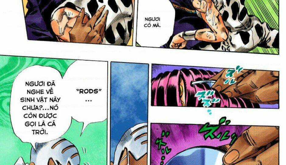 Cuộc Phiêu Lưu Bí Ẩn Chapter 706 trang 13