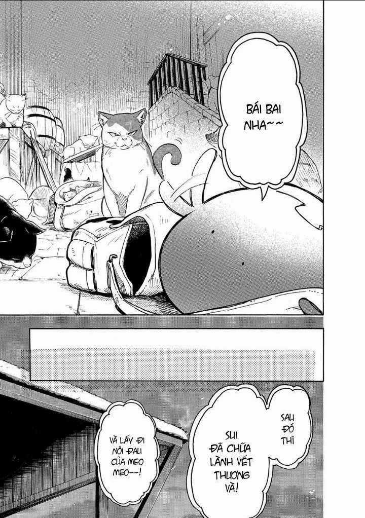 Cuộc Phiêu Lưu Của Bé Sui Chapter 23 trang 13