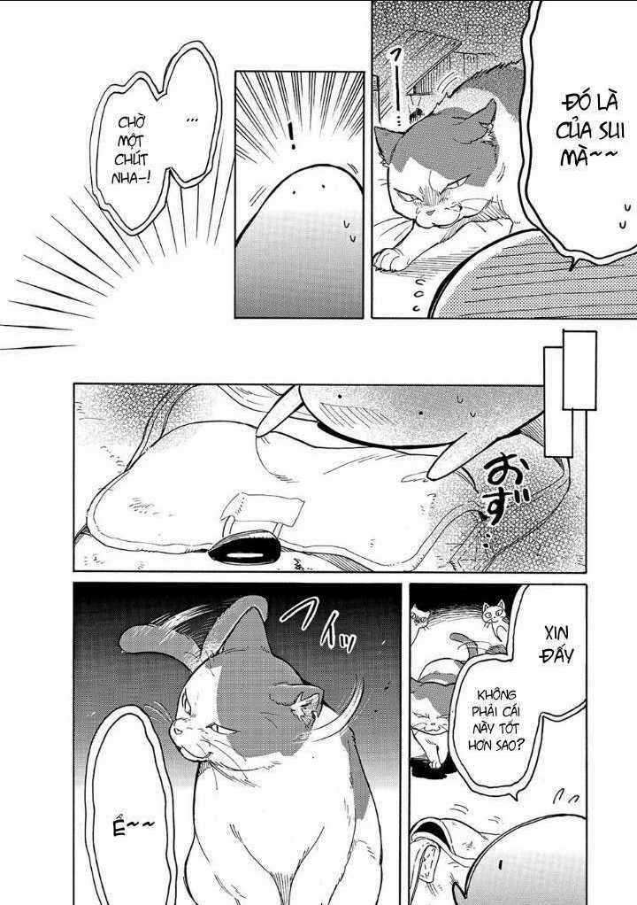 Cuộc Phiêu Lưu Của Bé Sui Chapter 23 trang 9