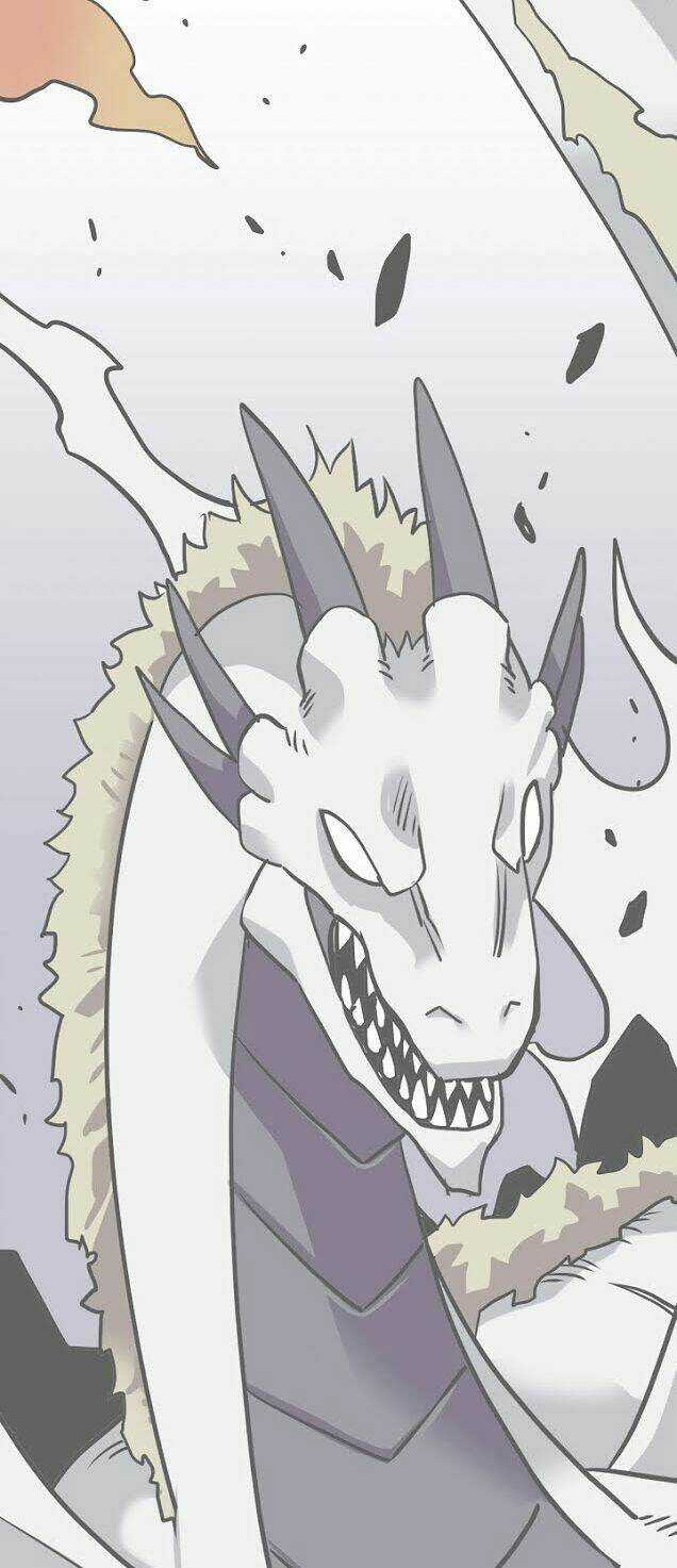 Cuộc Phiêu Lưu Của Cậu Bé Rồng Chapter 6 trang 17