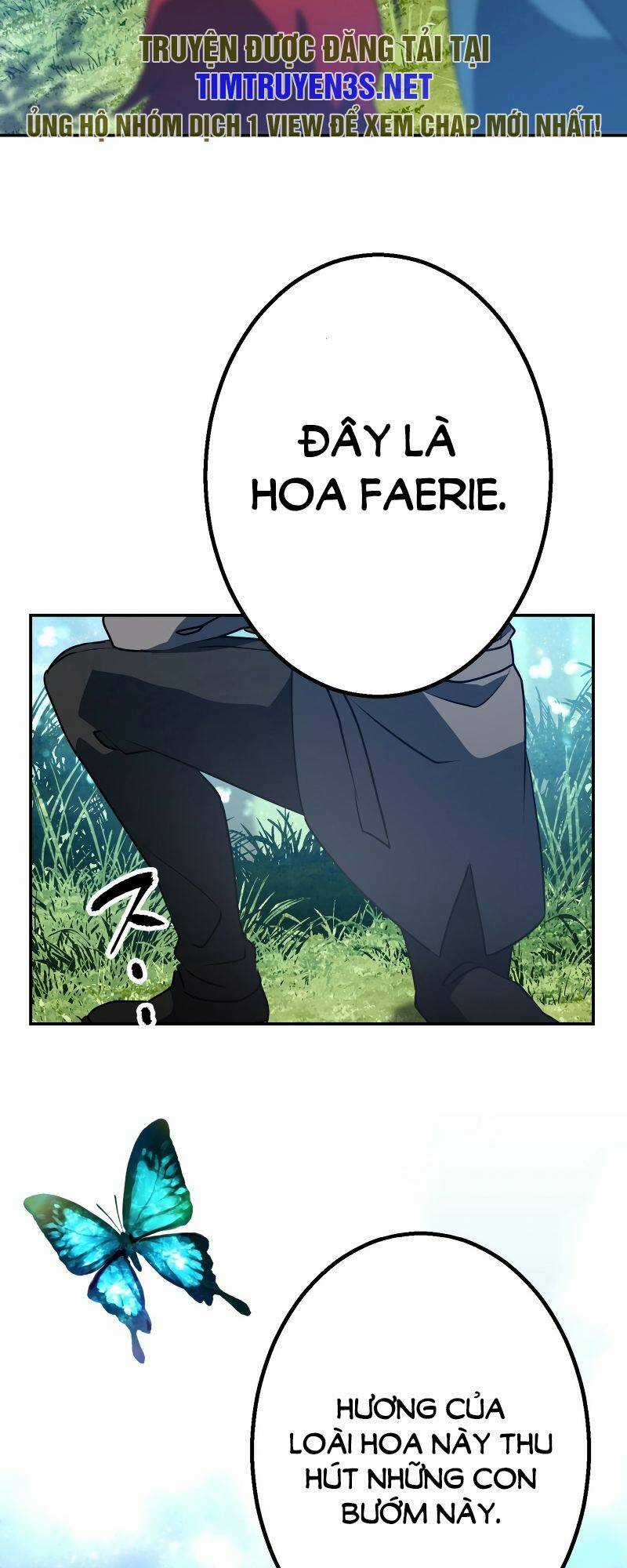 Cuộc Sống Của Một Pháp Sư Xuyên Không Thế Giới Khác Chapter 29 trang 37