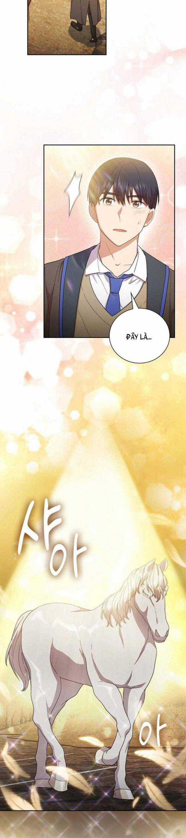 Cuộc Sống Của Pháp Sư Tại Học Viện Ma Pháp Chapter 36 trang 6