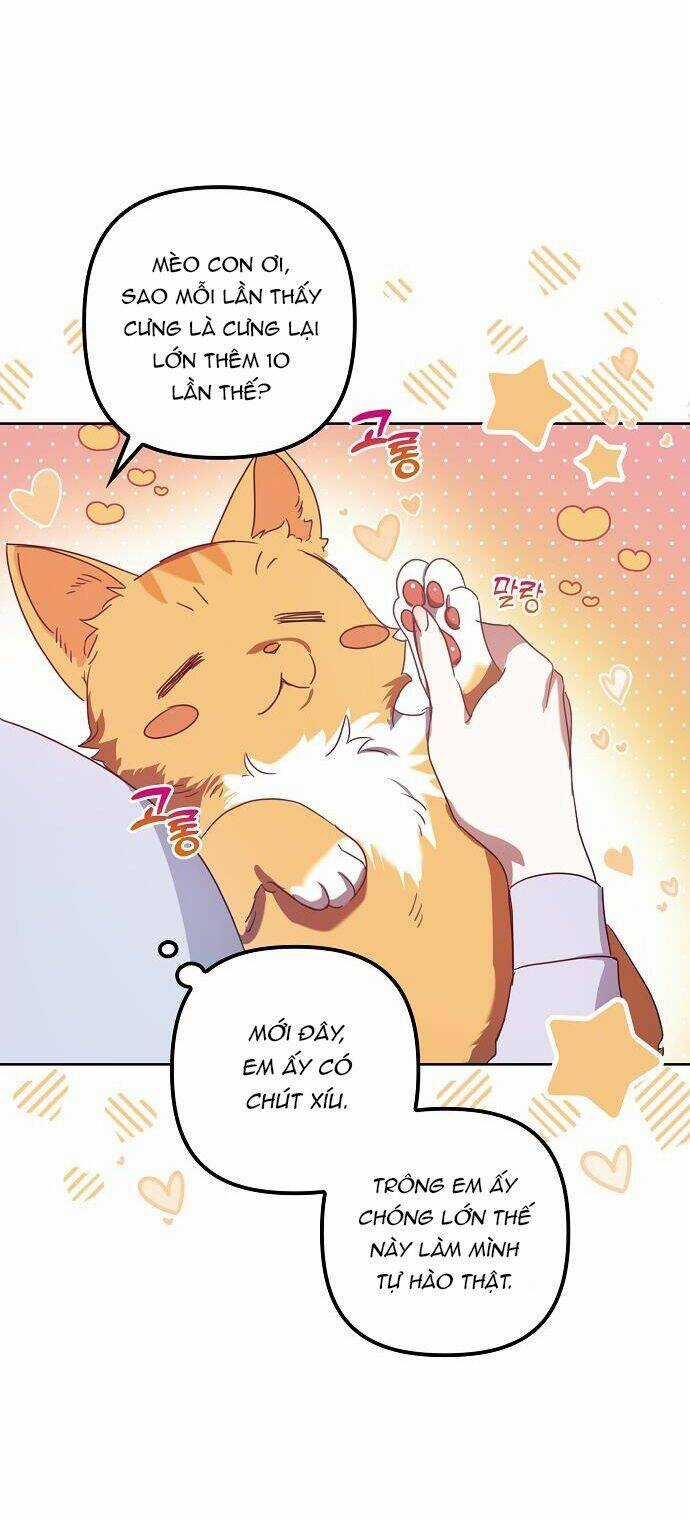 Cuộc Sống Giản Dị Của Người Độc Thân Bị Bỏ Rơi Chapter 8 trang 20