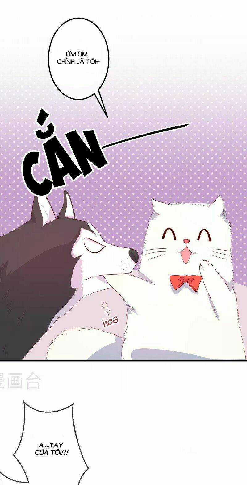 Cuộc Sống Hào Môn Của Vu Nữ Chapter 23 trang 17