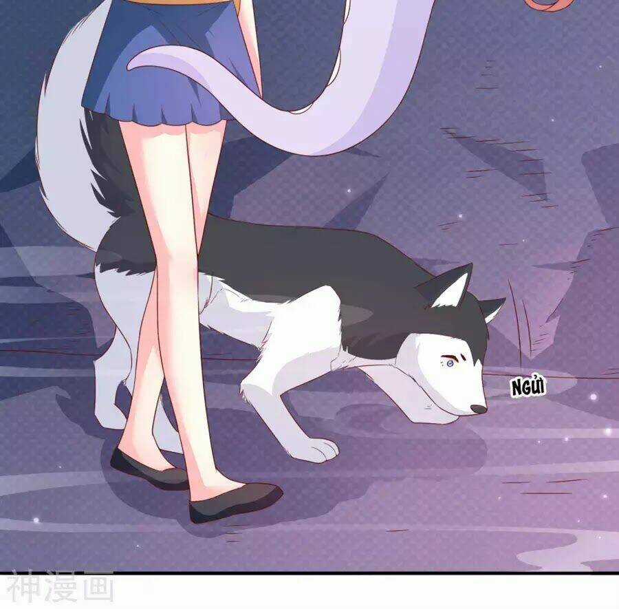 Cuộc Sống Hào Môn Của Vu Nữ Chapter 40 trang 58