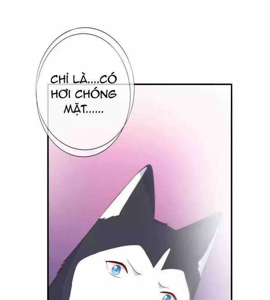 Cuộc Sống Hào Môn Của Vu Nữ Chapter 43 trang 41