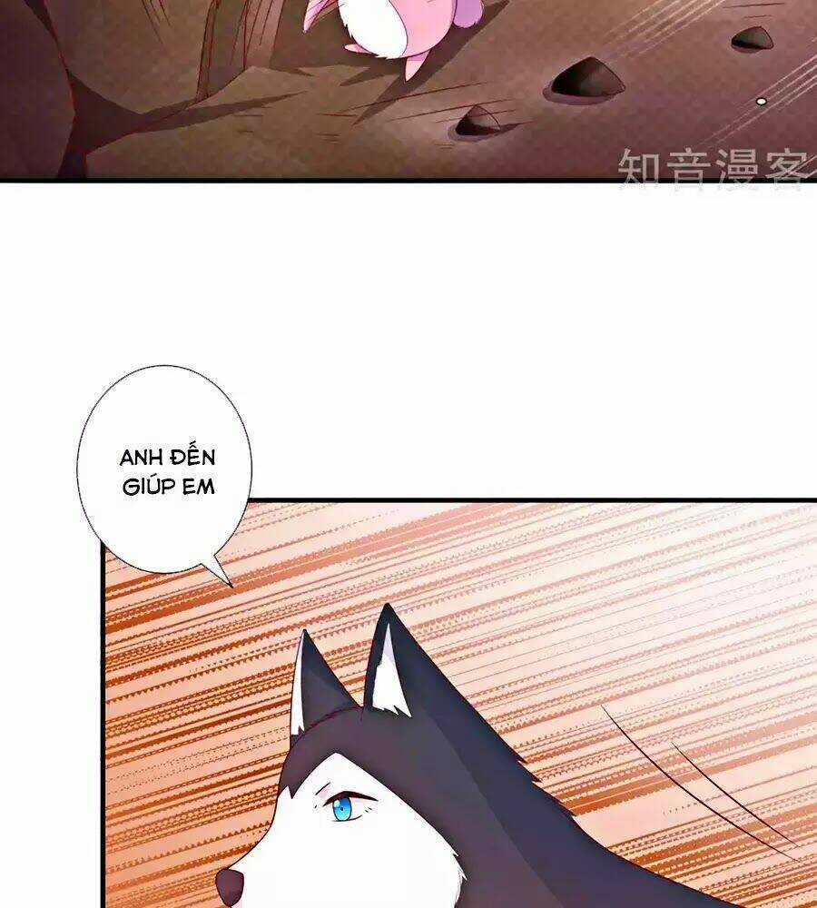 Cuộc Sống Hào Môn Của Vu Nữ Chapter 47 trang 57