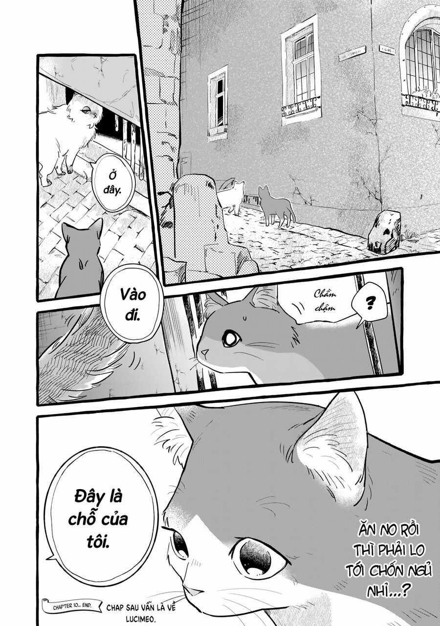 Cuộc Sống Khi Làm Hầu Gái Cho Pháp Sư Hướng Nội. Chapter 10 trang 31