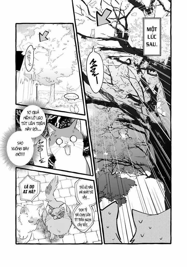 Cuộc Sống Khi Làm Hầu Gái Cho Pháp Sư Hướng Nội. Chapter 11 trang 11