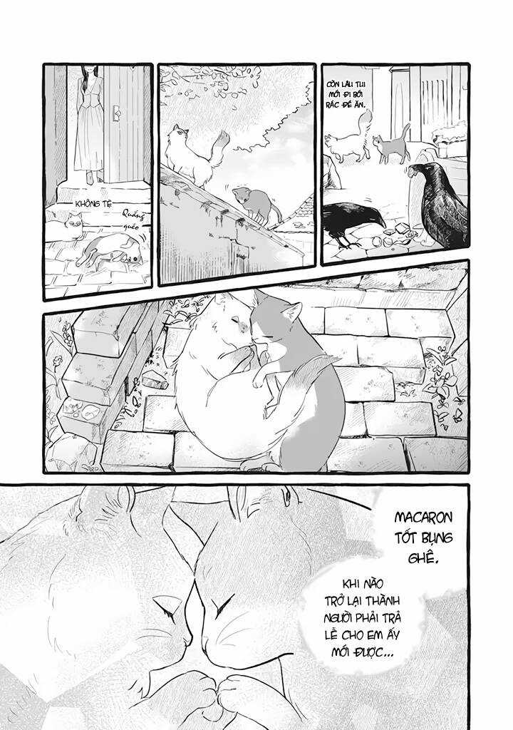 Cuộc Sống Khi Làm Hầu Gái Cho Pháp Sư Hướng Nội. Chapter 11 trang 7