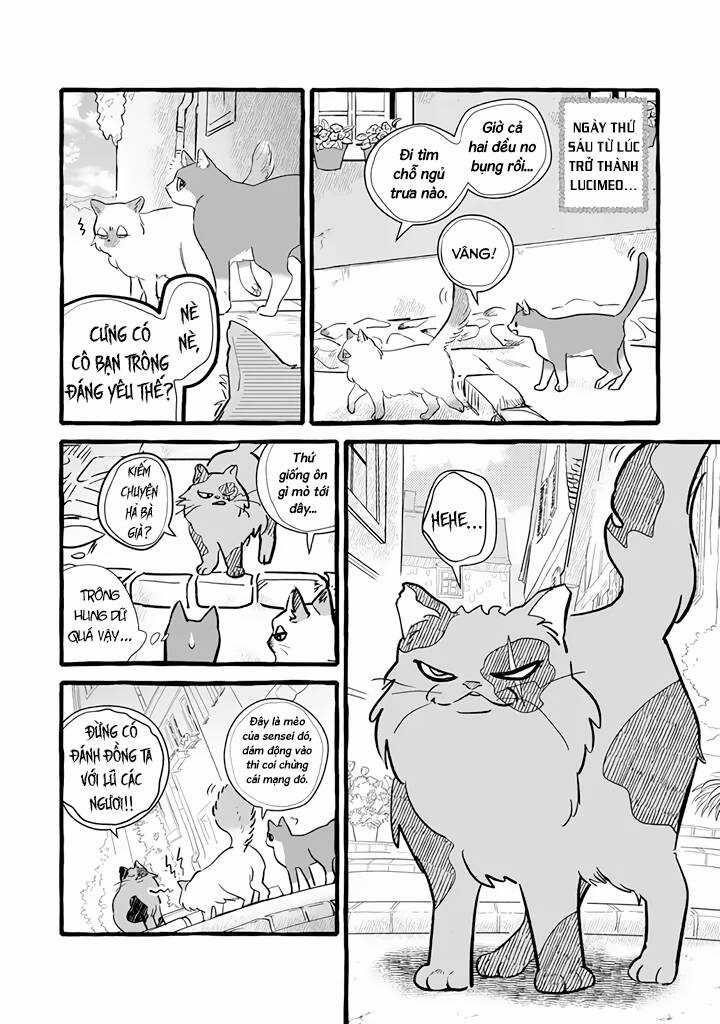 Cuộc Sống Khi Làm Hầu Gái Cho Pháp Sư Hướng Nội. Chapter 11 trang 8