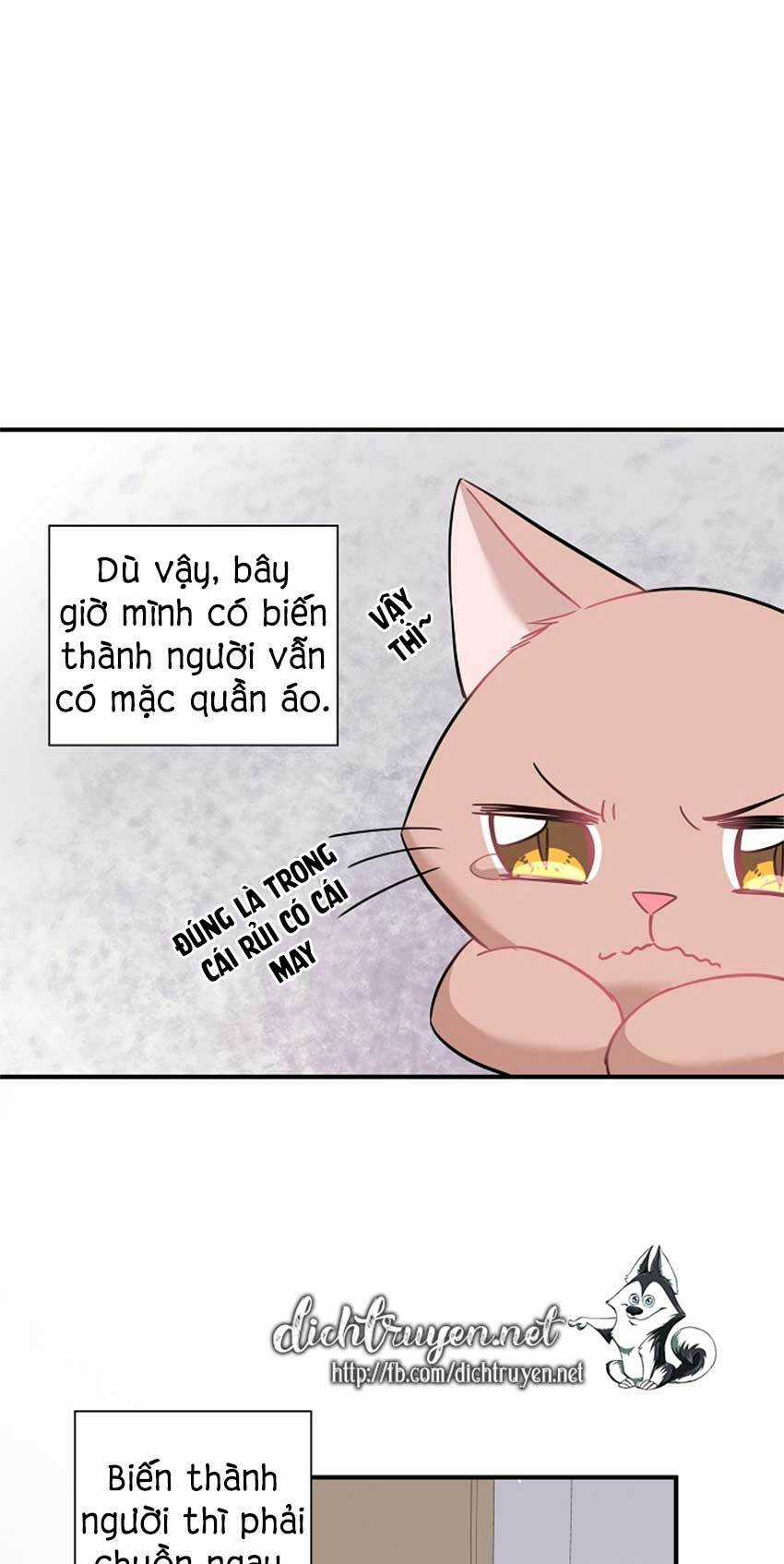 Cuộc Sống Kỳ Thú Chapter 22 trang 15