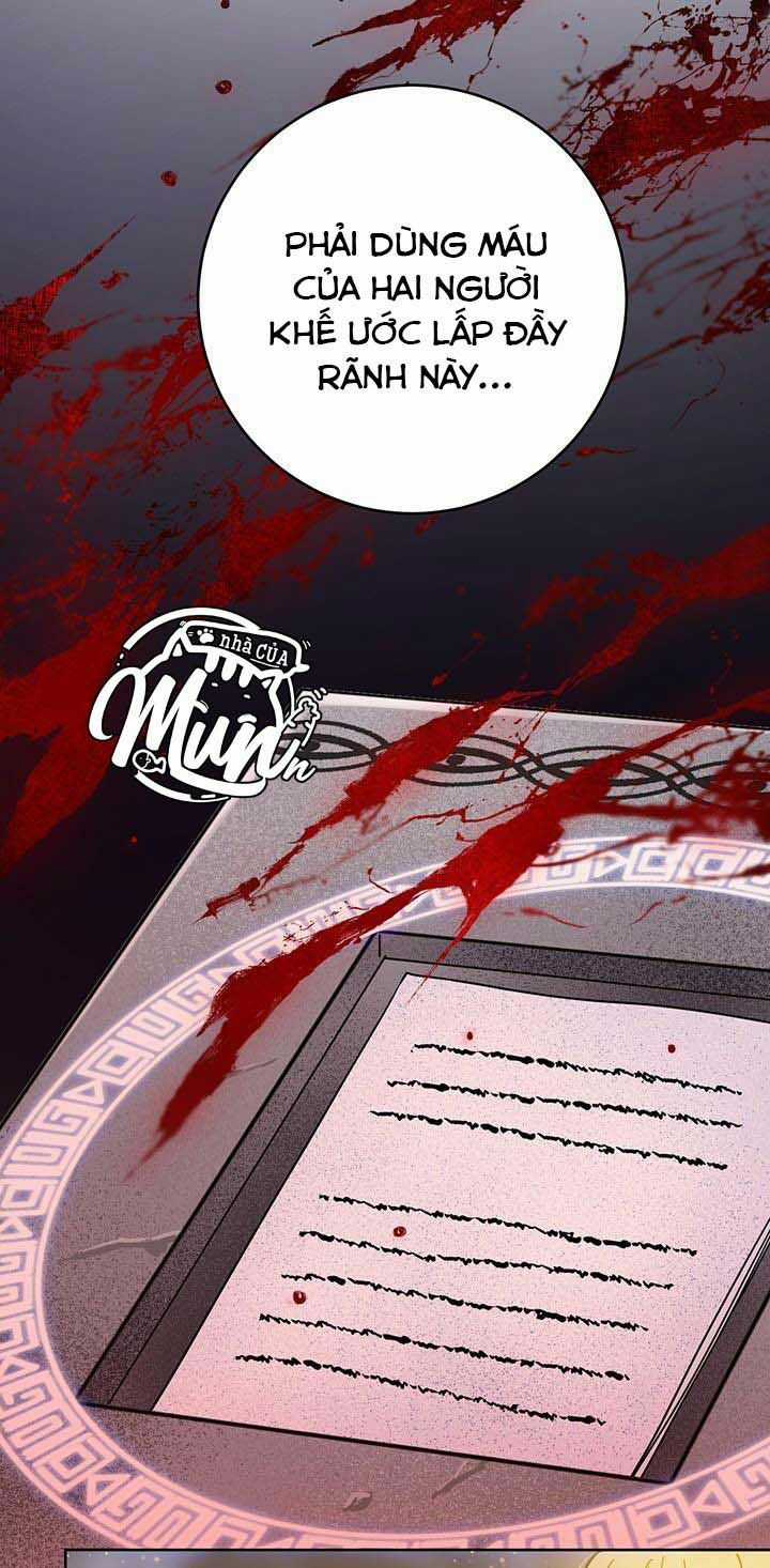 Cuộc Sống Mới Của Công Nương Chapter 10 trang 12