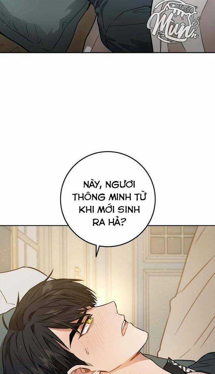 Cuộc Sống Mới Của Công Nương Chapter 41 trang 34