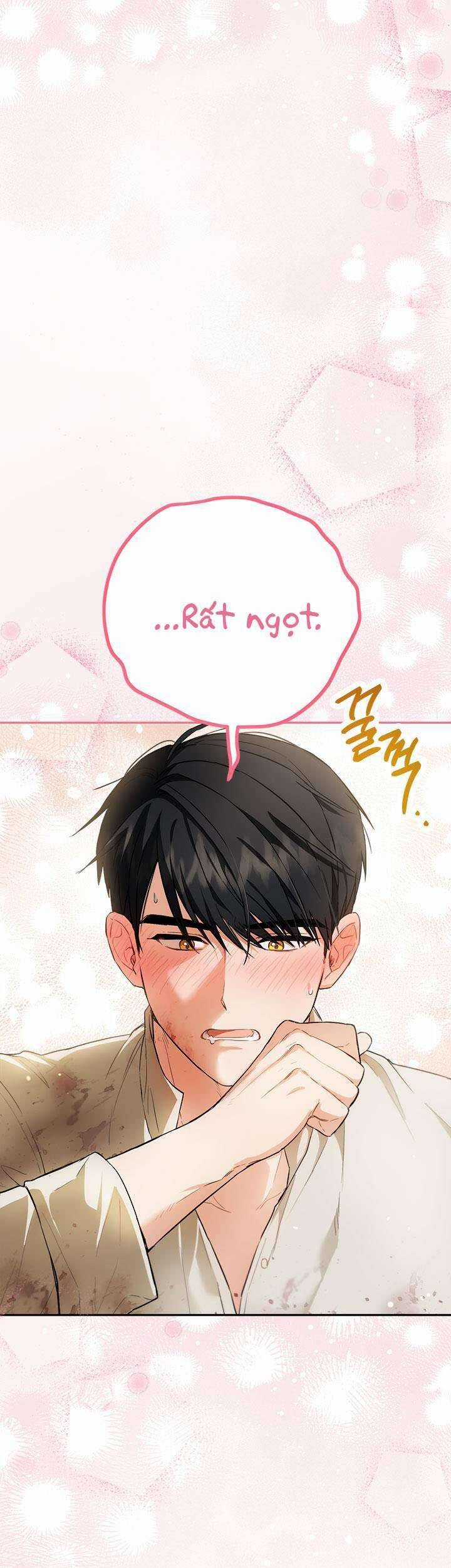 Cuộc Sống Mới Của Công Nương Chapter 99 trang 27