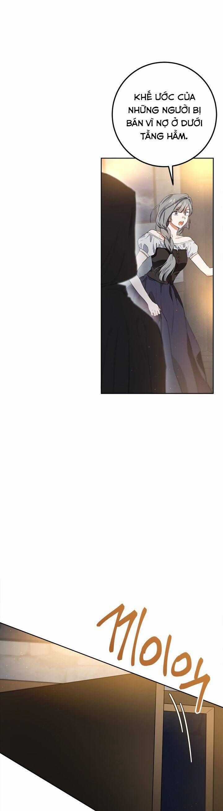 Cuộc Sống Mới Của Công Nương Chương 127 trang 17