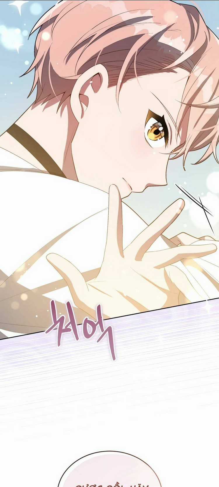 Cuộc Sống Thứ 2 Của Thần Tượng Toàn Năng Chapter 9 trang 15