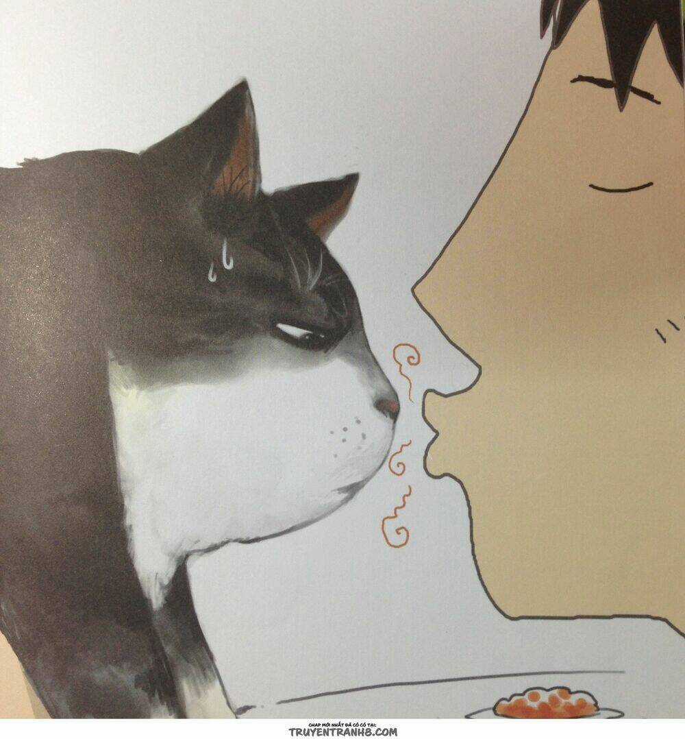 Cuộc Sống Thượng Lưu Của Hoàng Đế Mèo Chapter 2 trang 9