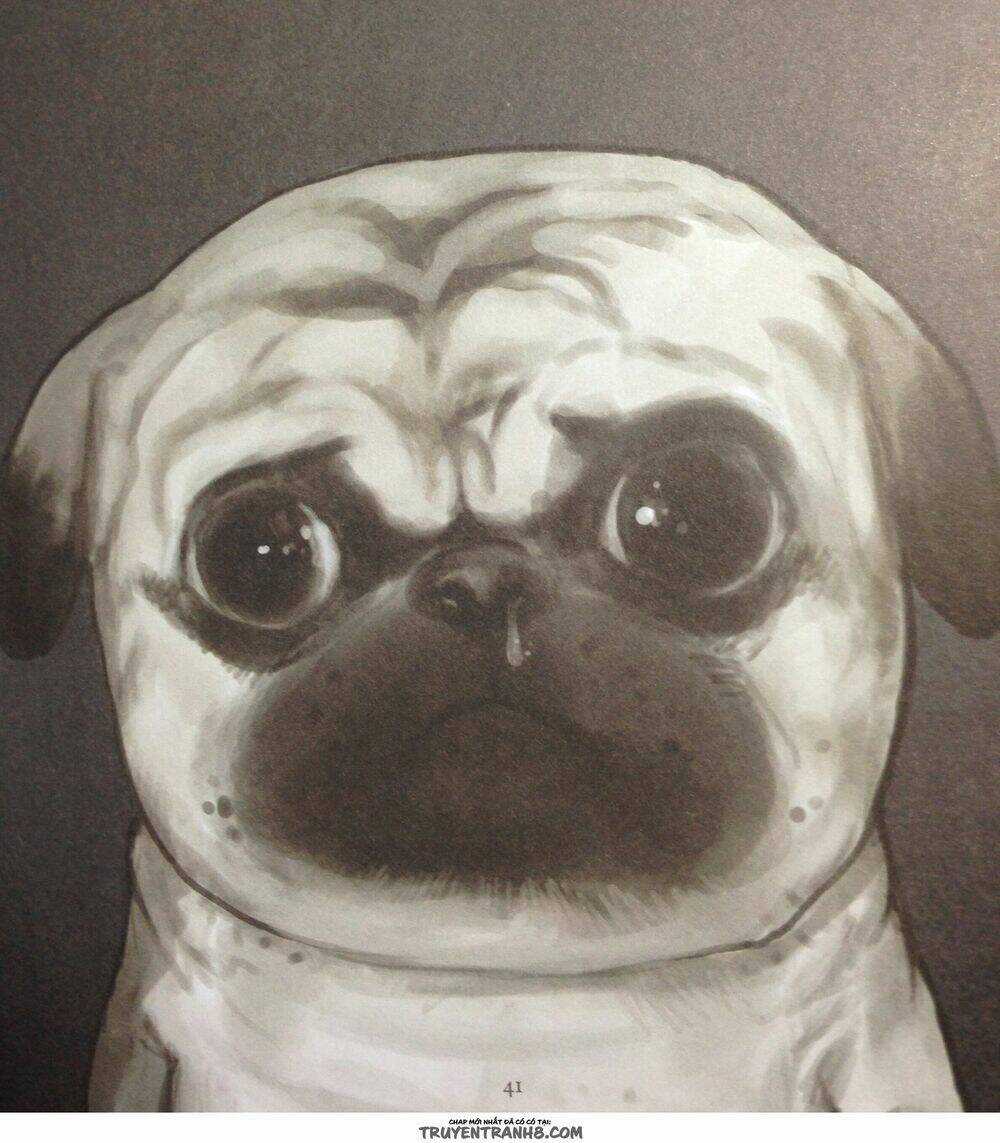 Cuộc Sống Thượng Lưu Của Hoàng Đế Mèo Chapter 3 trang 10