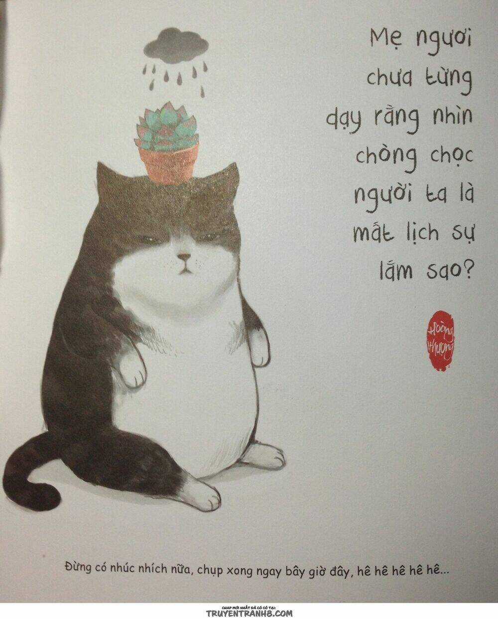 Cuộc Sống Thượng Lưu Của Hoàng Đế Mèo Chapter 3 trang 4