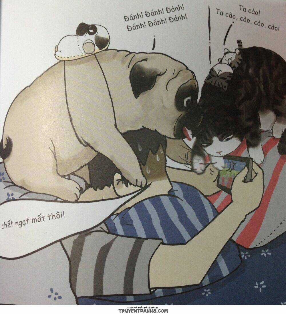 Cuộc Sống Thượng Lưu Của Hoàng Đế Mèo Chapter 4 trang 5