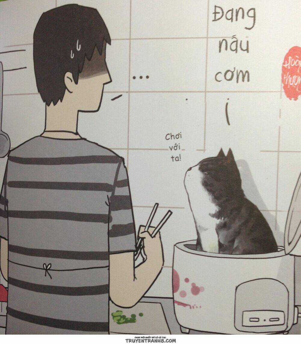 Cuộc Sống Thượng Lưu Của Hoàng Đế Mèo Chapter 5 trang 11