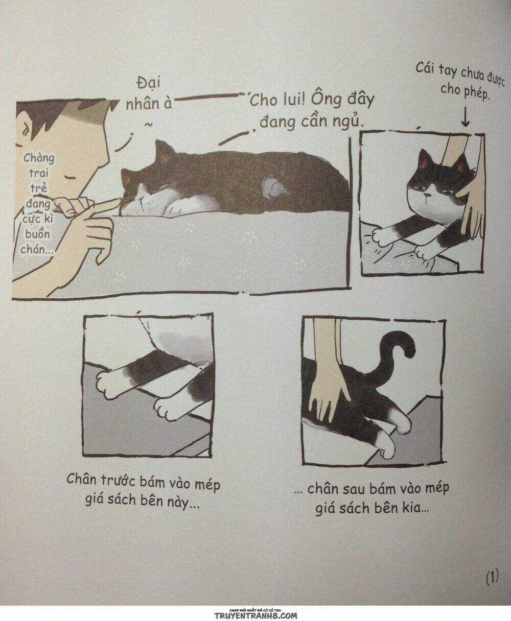 Cuộc Sống Thượng Lưu Của Hoàng Đế Mèo Chapter 5 trang 6