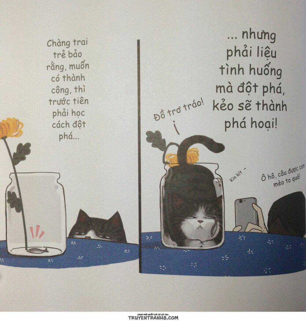Cuộc Sống Thượng Lưu Của Hoàng Đế Mèo Chapter 6 trang 2