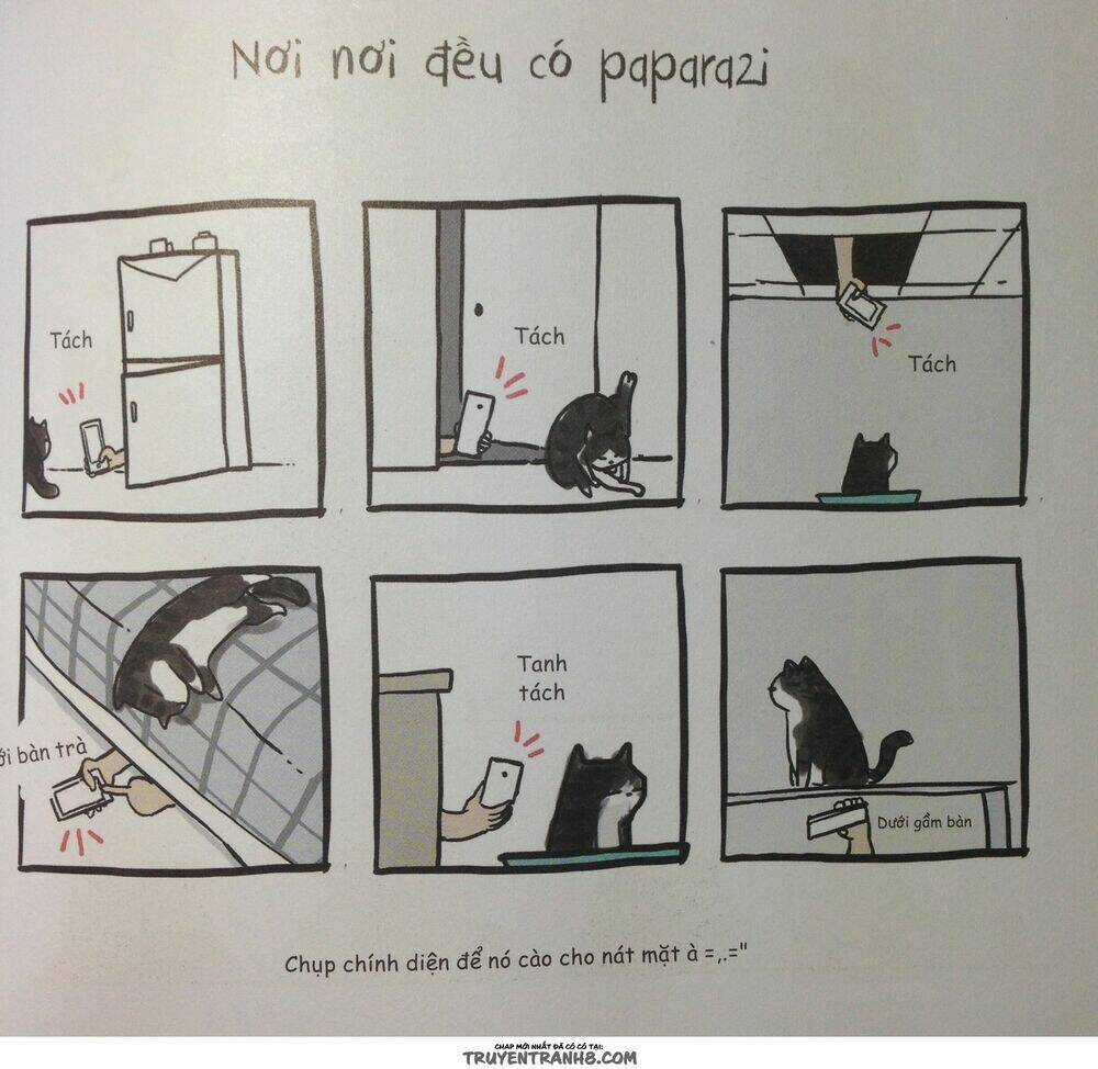 Cuộc Sống Thượng Lưu Của Hoàng Đế Mèo Chapter 6 trang 5