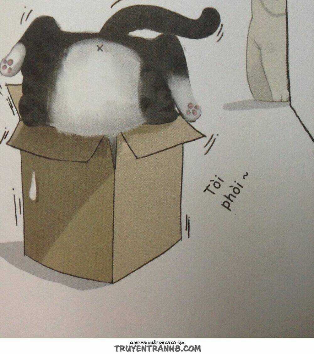 Cuộc Sống Thượng Lưu Của Hoàng Đế Mèo Chapter 7 trang 2