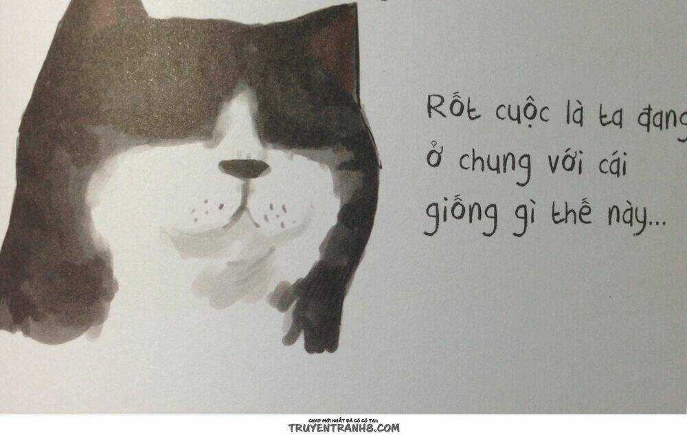 Cuộc Sống Thượng Lưu Của Hoàng Đế Mèo Chapter 8 trang 15